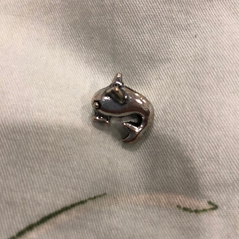 Pandora Charm